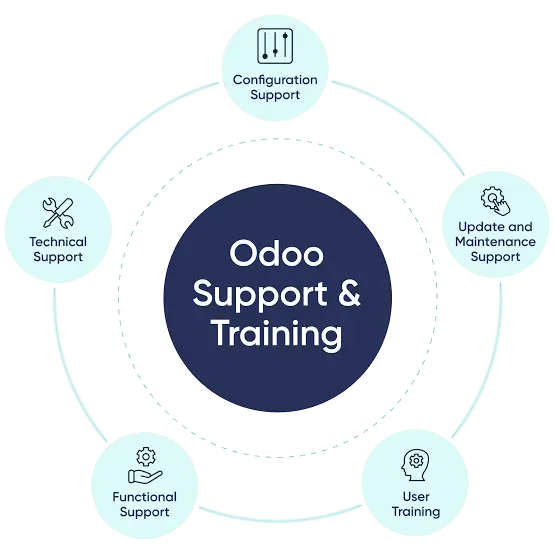 Odoo support and training categories