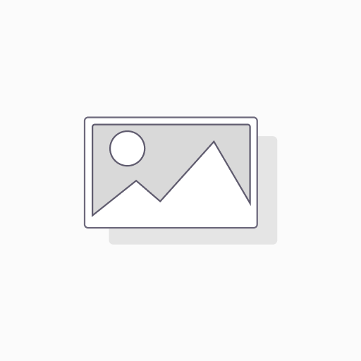 Layout & Visual Design